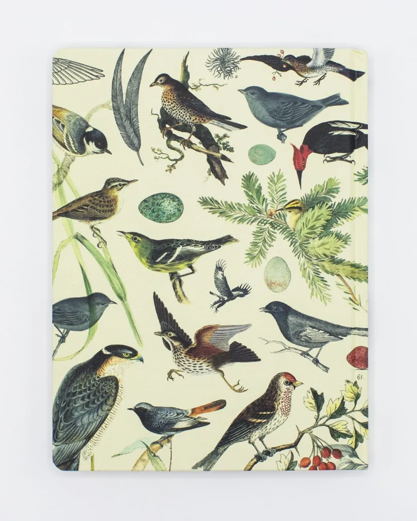 Cognitive Surplus Birds of Prey Notebook - Hardcover | Ecology* The Hypothesis | Ornithology