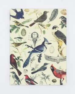 Cognitive Surplus Birds of Prey Notebook - Softcover | Ecology* The Experiment | Ornithology