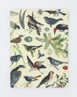 Cognitive Surplus Birds of Prey Notebook - Softcover | Ecology* The Experiment | Ornithology