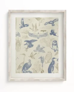 Cognitive Surplus Birds of Prey Scientific Illustration Art Print | * Wall Art | Ornithology