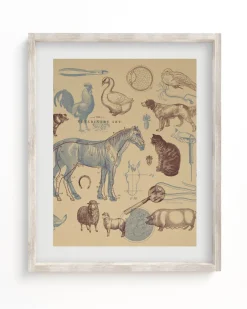 Cognitive Surplus Birds of Prey Scientific Illustration Art Print | * Wall Art | Veterinary Science
