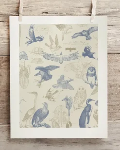 Cognitive Surplus Birds of Prey Scientific Illustration Art Print | * Wall Art | Ornithology