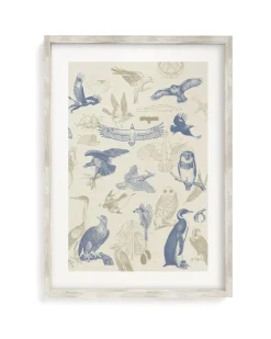 Cognitive Surplus Birds of Prey Scientific Illustration Art Print | * Wall Art | Ornithology