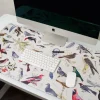 Cognitive Surplus Birds: Ornithology Mouse Pad* Mouse Pads | Ornithology