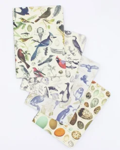 Cognitive Surplus Birds: Ornithology Pocket Notebook 4-pack* The Research | Veterinary Science