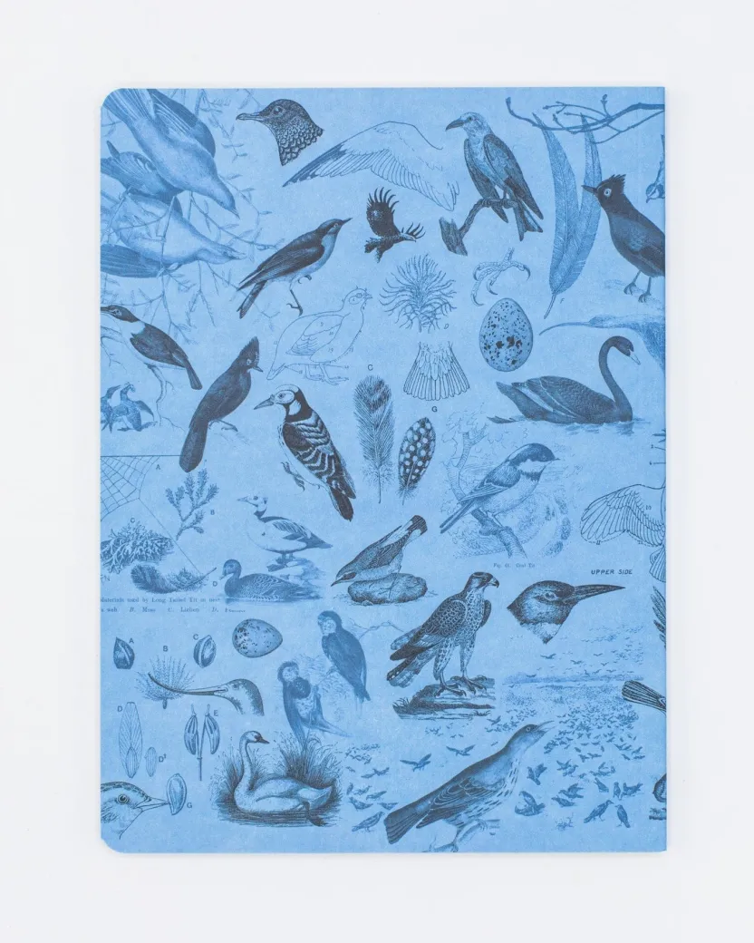 Cognitive Surplus Birds Softcover Notebook | Botanical Print Journal* The Experiment | Ornithology