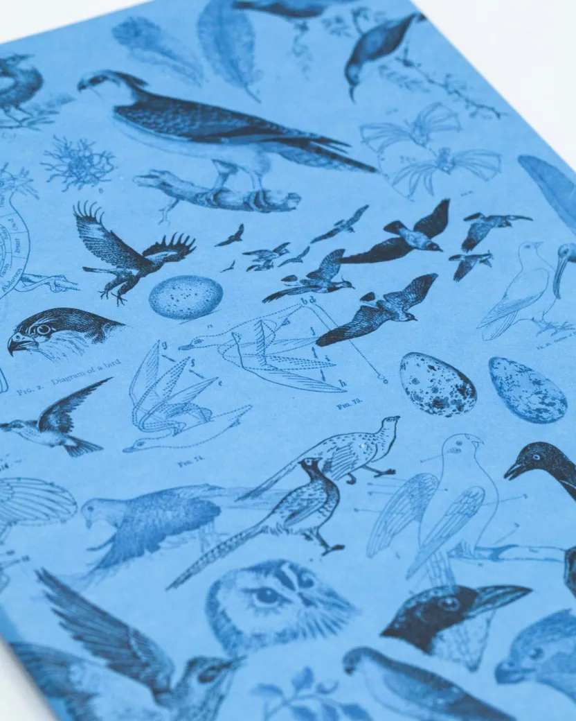 Cognitive Surplus Birds Softcover Notebook | Botanical Print Journal* The Experiment | Ornithology