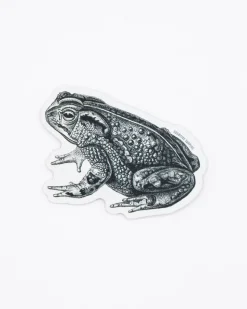 Cognitive Surplus Bocourt's Toad Sticker* Stickers | Biology