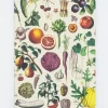 Cognitive Surplus Botanical Print Softcover Notebook | Recycled Notebook* The Experiment | Kitchen Science