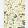 Cognitive Surplus Botanical Print Softcover Notebook | Hiking Journal* The Experiment | Kitchen Science