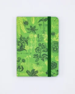 Cognitive Surplus Botanical Reverie Observation Softcover* The Observation | Biology