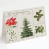 Cognitive Surplus Botany Holiday Card - Science Christmas Card | * Greeting Cards | Botany