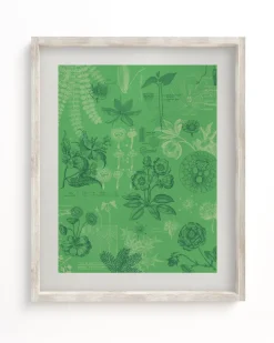 Cognitive Surplus Botany Museum Print | Biology Gift* Wall Art | Botany