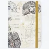 Cognitive Surplus Brain & Neurology A5 Softcover Notebook - Dotted Lines | * The Analysis | Psychology