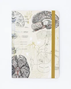 Cognitive Surplus Brain & Neurology A5 Softcover Notebook - Dotted Lines | * The Analysis | Psychology