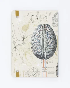 Cognitive Surplus Brain & Neurology A5 Softcover Notebook - Dotted Lines | * The Analysis | Psychology