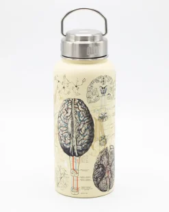 Cognitive Surplus Brain & Neuroscience 18 oz Insulated Steel Bottle by* Travel Mugs | Water Bottles