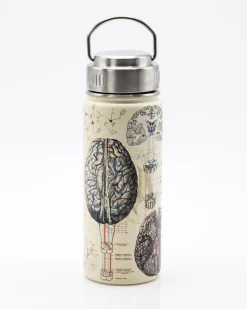 Cognitive Surplus Brain & Neuroscience 18 oz Insulated Steel Bottle by* Travel Mugs | Water Bottles
