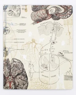 Cognitive Surplus Brain & Neuroscience Lab Notebook* The Laboratory | Psychology