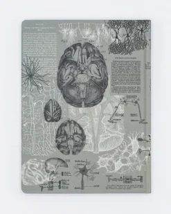 Cognitive Surplus Brain Anatomy Hardcover Notebook | Dot Grid Journal* The Hypothesis | Psychology