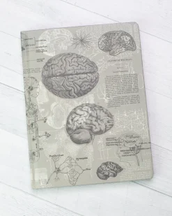 Cognitive Surplus Brain Anatomy Hardcover Notebook | Dot Grid Journal* The Hypothesis | Psychology