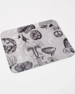 Cognitive Surplus Brain Anatomy Mouse Pad* Mouse Pads | Psychology