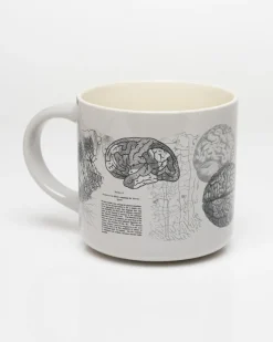 Cognitive Surplus Brain Anatomy Mug - Medical Mug | * Mugs | Psychology