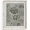Cognitive Surplus Brain Anatomy Museum Print | Medical Student Gift* Wall Art | Psychology