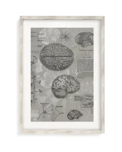 Cognitive Surplus Brain Anatomy Museum Print | Medical Student Gift* Wall Art | Psychology