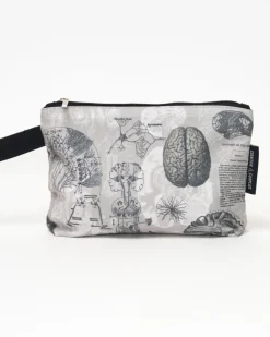 Cognitive Surplus Brain Anatomy Pencil Bag* Pencil Bags | Psychology