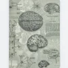 Cognitive Surplus Brain Anatomy Softcover Notebook | Dot Grid Journal* The Experiment | Psychology