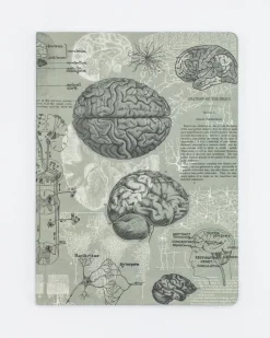 Cognitive Surplus Brain Anatomy Softcover Notebook | Dot Grid Journal* The Experiment | Psychology