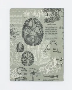 Cognitive Surplus Brain Anatomy Softcover Notebook | Dot Grid Journal* The Experiment | Psychology
