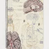 Cognitive Surplus Brain Anatomy Spiral Notebook | * The Helix | Psychology