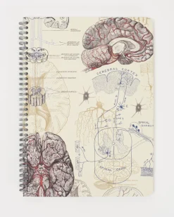 Cognitive Surplus Brain Anatomy Spiral Notebook | * The Helix | Psychology