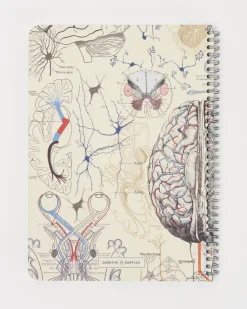 Cognitive Surplus Brain Anatomy Spiral Notebook | * The Helix | Psychology