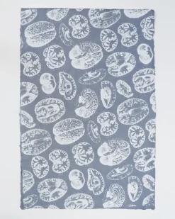 Cognitive Surplus Brain Anatomy Wrapping Paper* Wrapping Paper | Psychology
