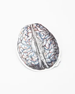 Cognitive Surplus Brain Blood Flow Sticker* Stickers | Psychology