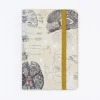 Cognitive Surplus Brain Observation Softcover* The Observation | Psychology