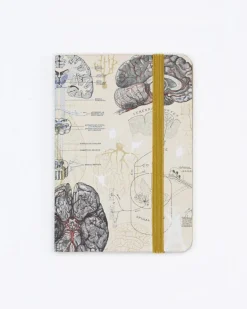 Cognitive Surplus Brain Observation Softcover* The Observation | Psychology