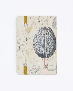 Cognitive Surplus Brain Observation Softcover* The Observation | Psychology