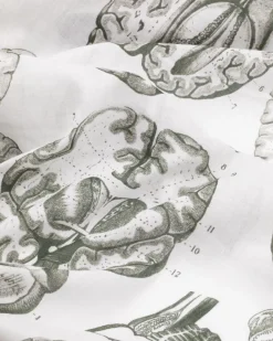 Cognitive Surplus Brain Scan Scarf* Scarves | Psychology
