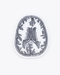Cognitive Surplus Brain Scan Sticker* Stickers | Psychology