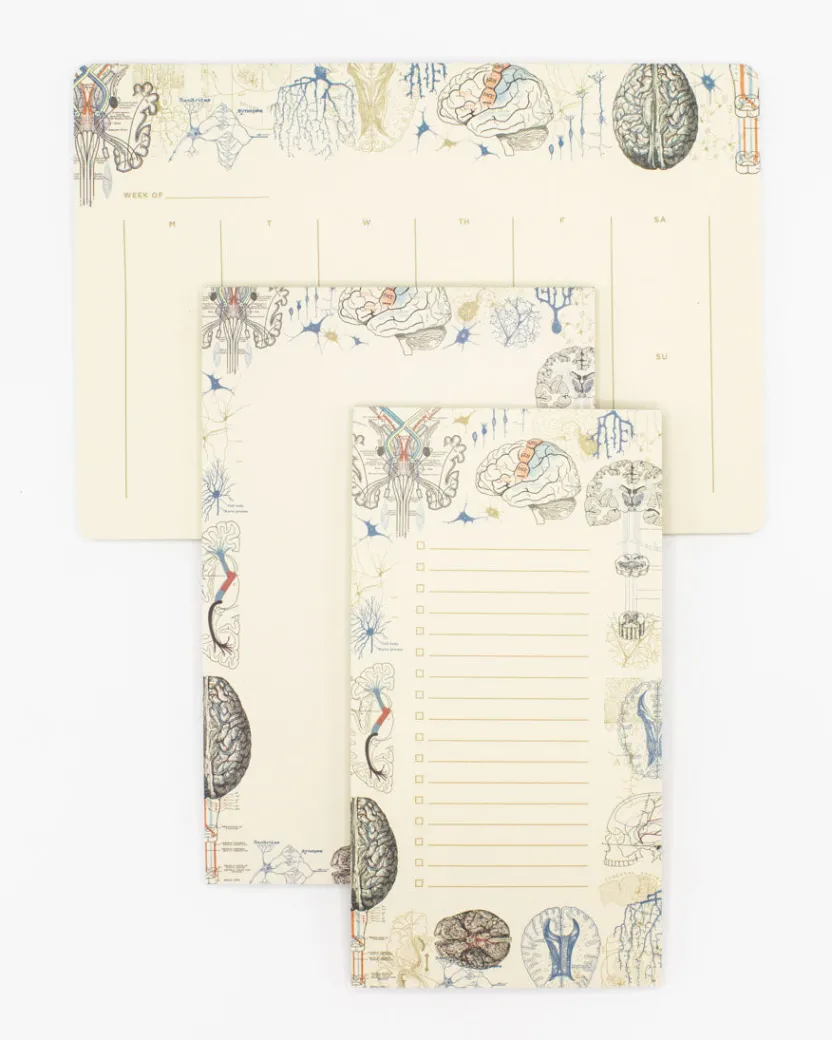 Cognitive Surplus Brain Science Notepads - Vintage Medicine Pad | * Notepads | Psychology