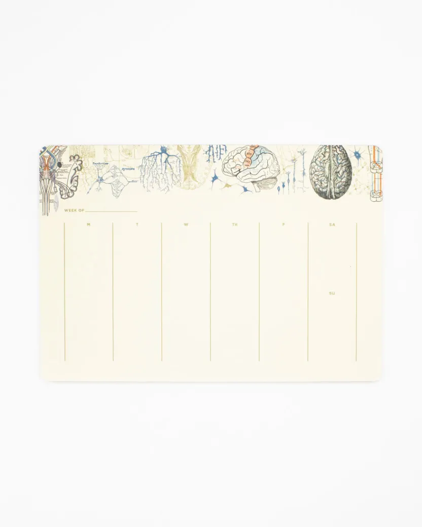 Cognitive Surplus Brain Science Notepads - Vintage Medicine Pad | * Notepads | Psychology