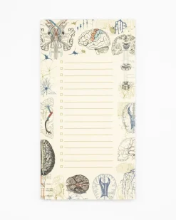 Cognitive Surplus Brain Science Notepads - Vintage Medicine Pad | * Notepads | Psychology