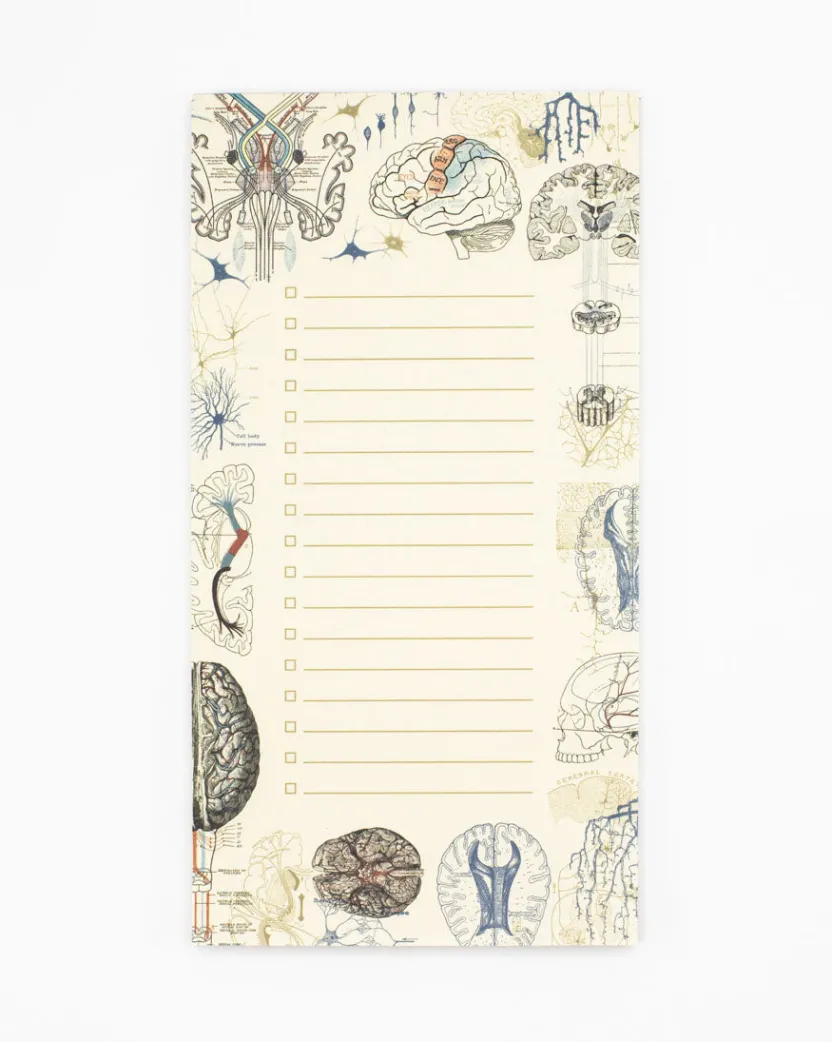 Cognitive Surplus Brain Science Notepads - Vintage Medicine Pad | * Notepads | Psychology