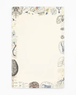 Cognitive Surplus Brain Science Notepads - Vintage Medicine Pad | * Notepads | Psychology