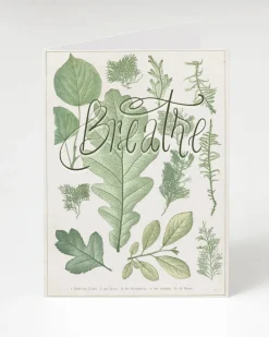 Cognitive Surplus Breathe Card - Botanical Stationery | * Greeting Cards | Botany