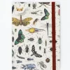 Cognitive Surplus Butterflies & Beetles A5 Softcover Notebook - Dotted Lines | * The Analysis | Entomology